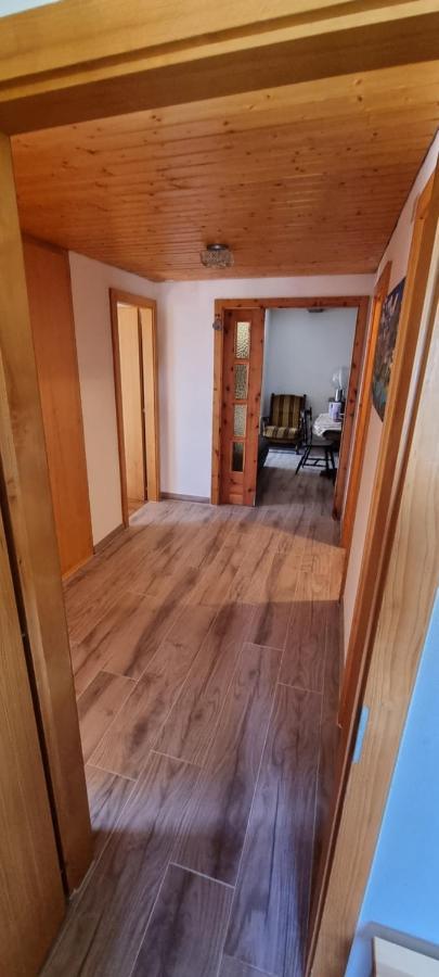Evolène Le Panorama - Appartement 54 A Arolla Face Aux Montagnes A 150M Des Pistes מראה חיצוני תמונה