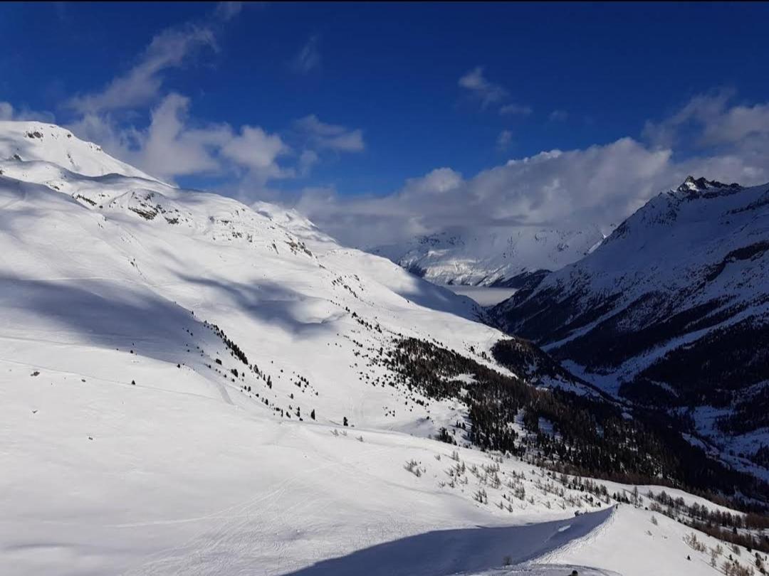Evolène Le Panorama - Appartement 54 A Arolla Face Aux Montagnes A 150M Des Pistes מראה חיצוני תמונה