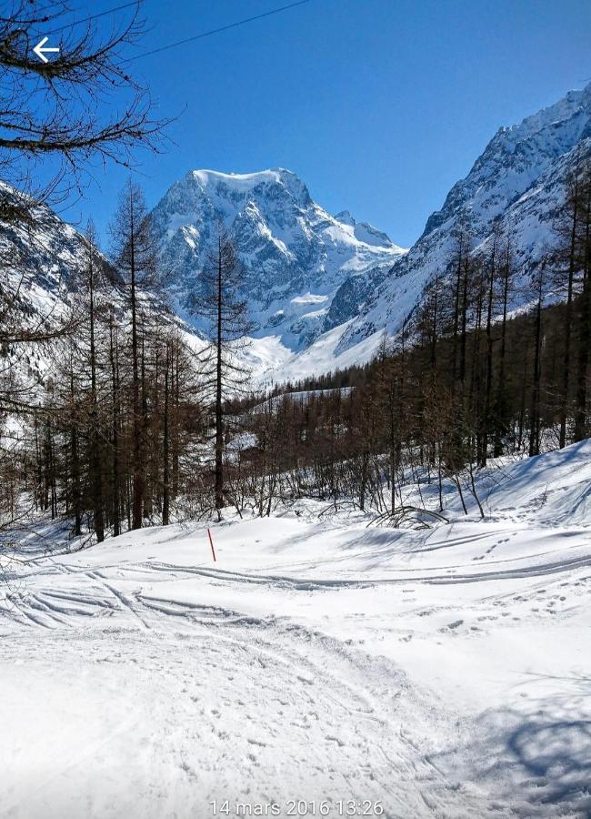 Evolène Le Panorama - Appartement 54 A Arolla Face Aux Montagnes A 150M Des Pistes מראה חיצוני תמונה